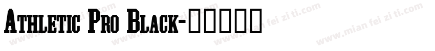 Athletic Pro Black字体转换